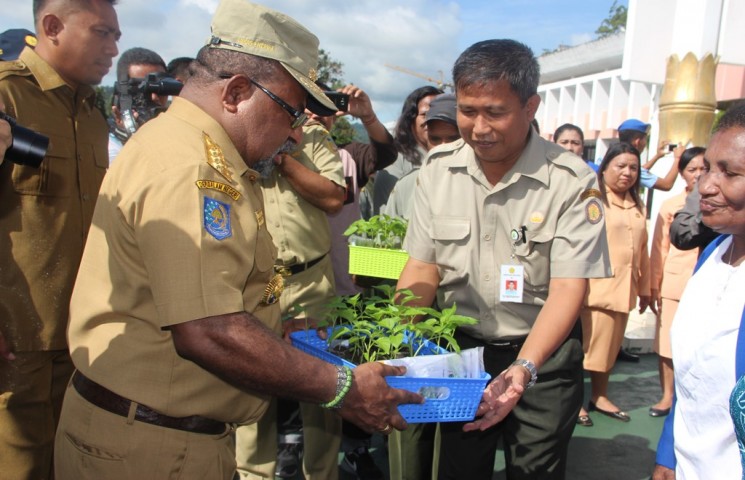 Gubernur Imbau Masyarakat Tanam Kebutuhan Pangan di Pekarangan
